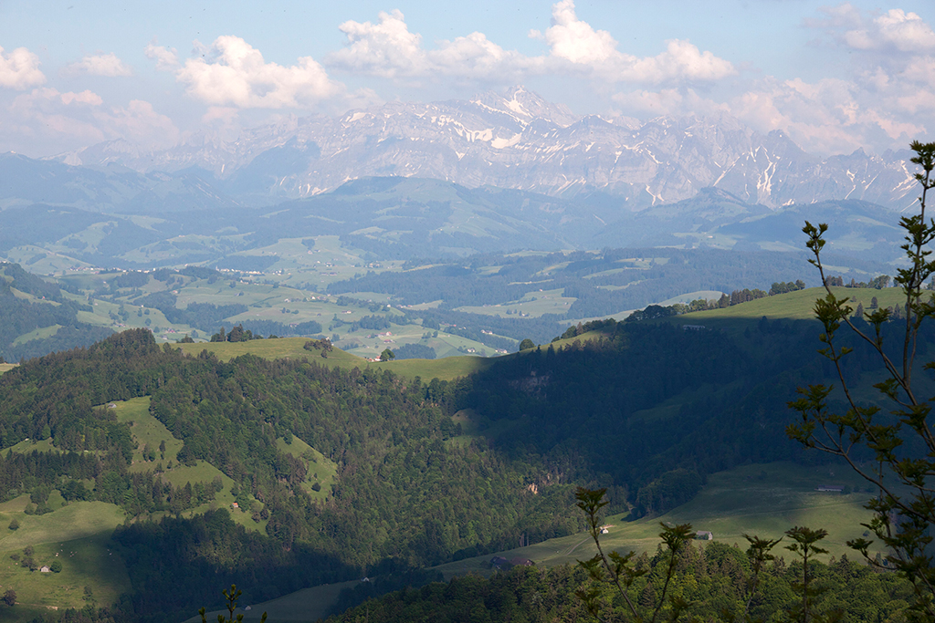 Ausblick auf den Saentis.jpg